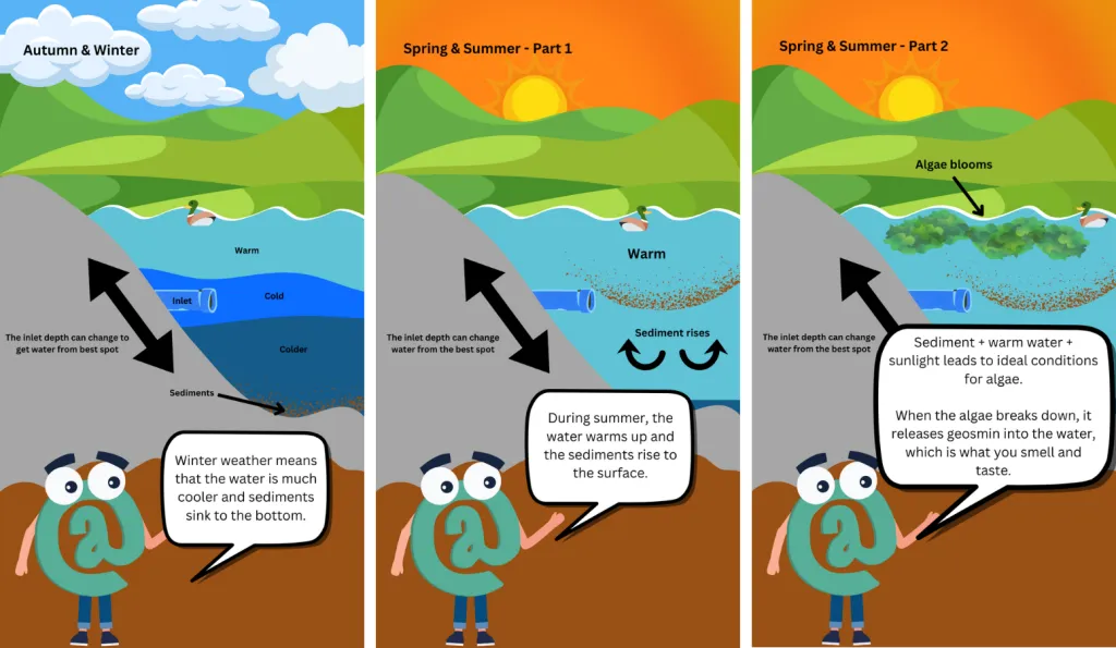 Three infographics describing the reason that geosmin is in the Tutaenui Reservoir, which is where the Marton water supply comes from.